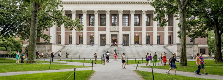 Bachelor of Commerce (B.Com) – A Gateway to Professional Success